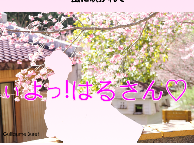第15回発表会 ぃよ!はるさん♡
